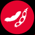 default/image/icon.png
