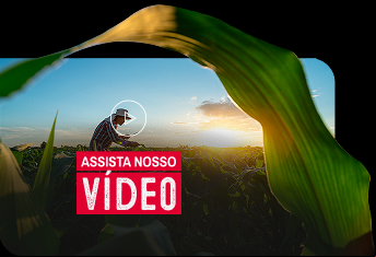 default/image/video-mobile.png