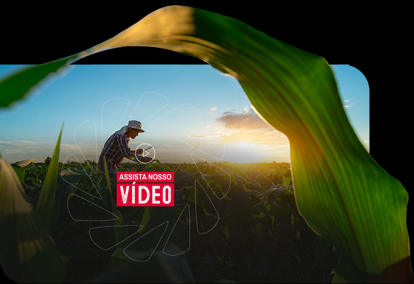 default/image/video.png